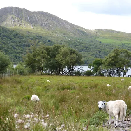 Frühstückspension Oakfield 4*